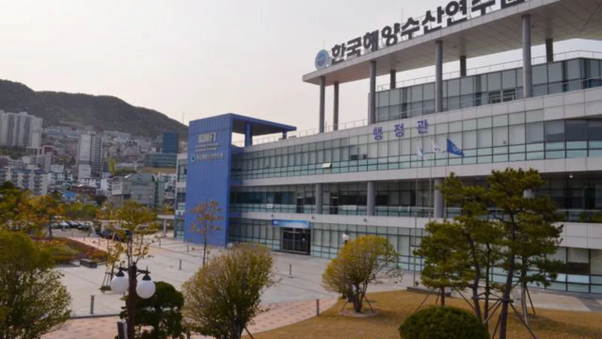 영도구