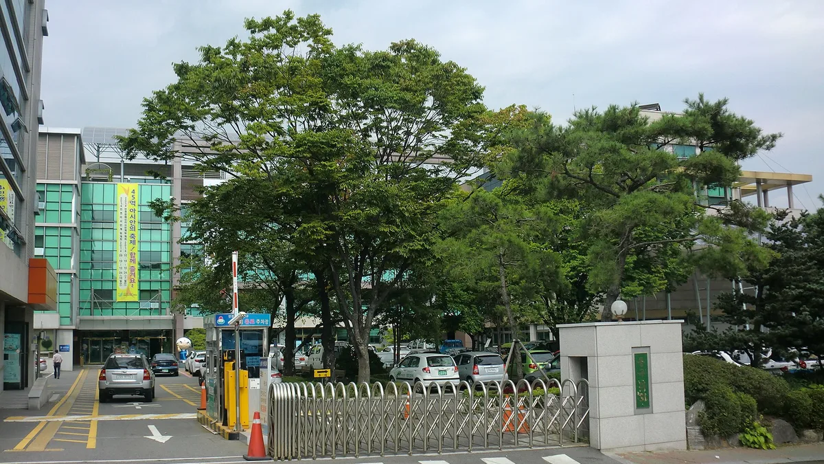 동구