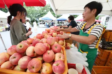 “추석 장보기, 전국 특산물 한자리에”…강남구 16일 직거래장터 개최