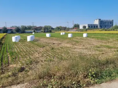 충북도, 농업부산물 ‘볏짚’ 사료화로 자원순환 활성화 촉진
