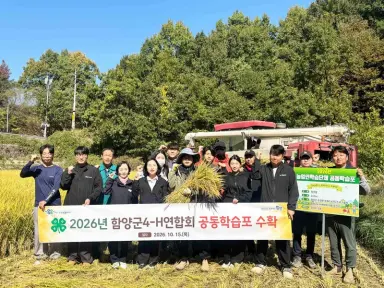 함양군 청년농업인이 키운 ‘밀키퀸’ 수확