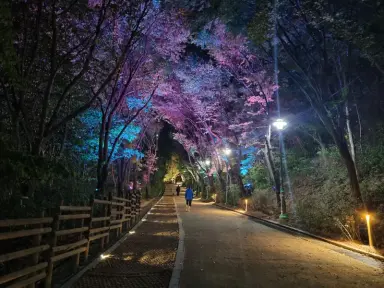 제물포구, 송현근린공원 산책로 ‘야간경관 조성사업’ 완료