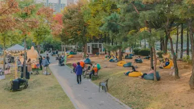 의정부시, 가을 정취 가득한 [제4회 음악정원 소풍(피크닉)] 성료