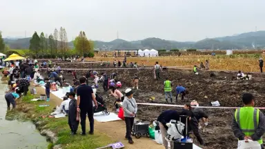 ‘가족과 함께하는 호조벌 연근캐기’ 성황리에 마쳐