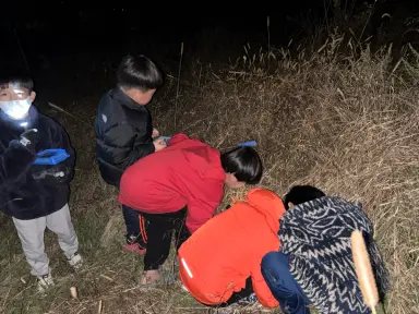 풀벌레 소리와 함께하는 양평 조현초 가을밤 숲 탐험!