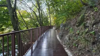 대전 동구, 세천저수지 인근 식장산 숲길 보행환경 개선new