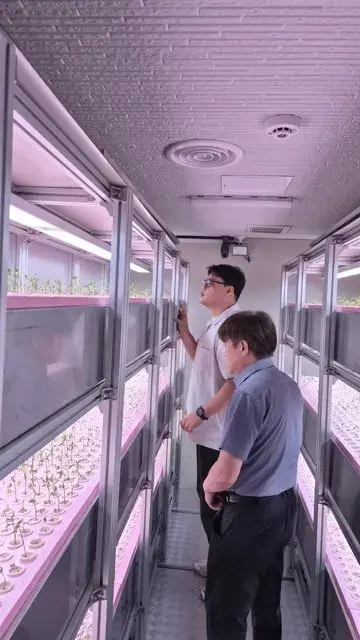 순천바이오헬스케어연구센터, 다시마 발효액 새싹인삼 재배 기술 특허 등록