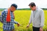 영암 들녘 올해 첫 벼 수확, 햅쌀로 소비자 만난다