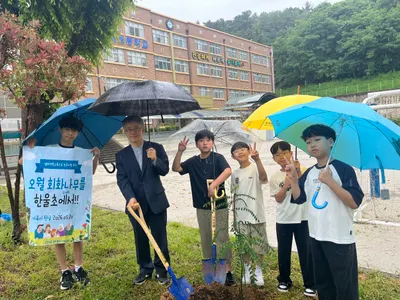 광주 한울초, 오월의 회화나무 후계목 식재…역사를 품다