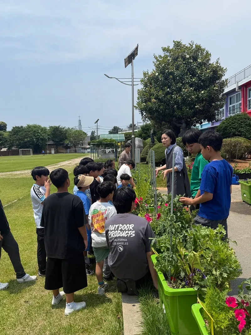 나주시, 학교 치유텃밭교실 운영…학생들 마음에 생명과 성장 심는다