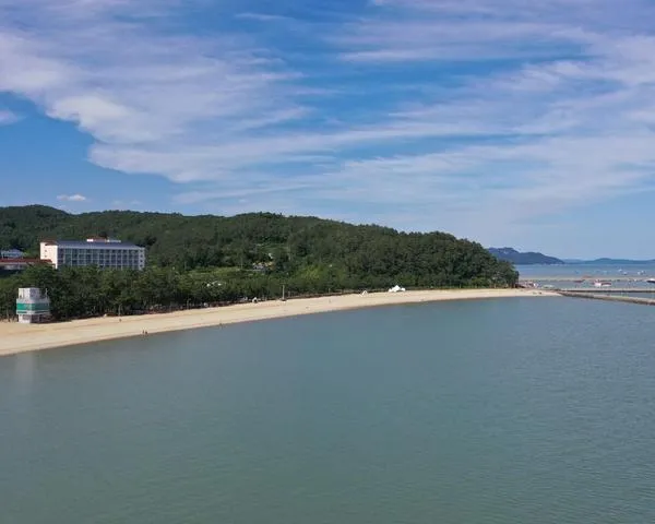 보성 율포솔밭해수욕장, 11일 개장…해파리 막고 쾌적한 여름 피서