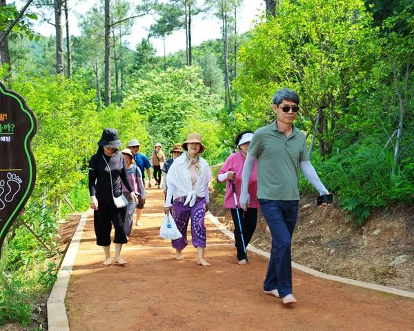 "자연과 호흡하는 힐링"…보성 제암산 숲속 맨발길 인기