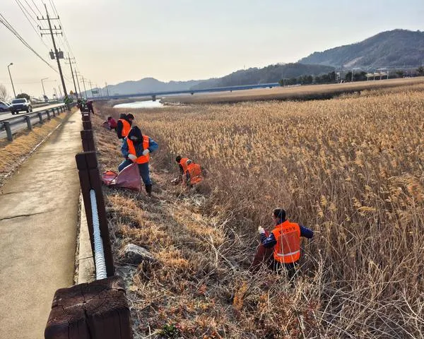 보성군 벌교읍, 설 명절 맞아 민관 합동 환경정화 활동 전개