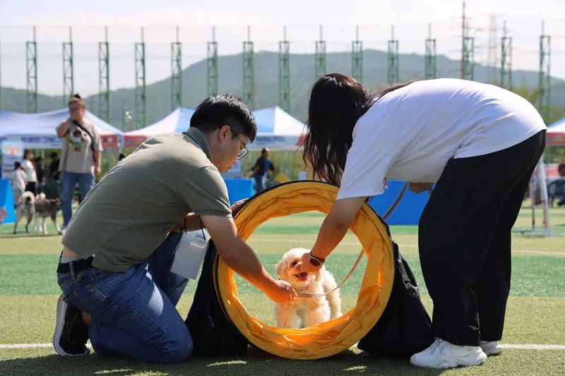 포항시, 반려동물 문화교실 ‘포항서당개’ 운영…성숙한 반려문화 확산