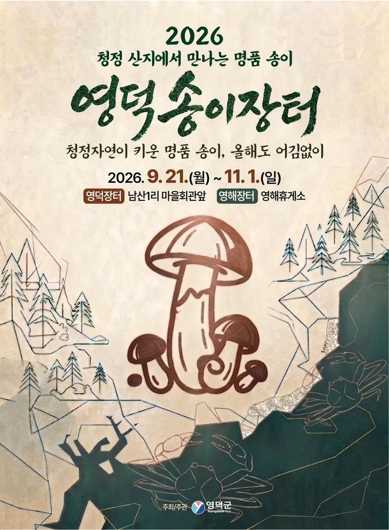 14년 연속 전국 송이 생산량 1위… ‘2026년 영덕 송이장터’ 21일 개장