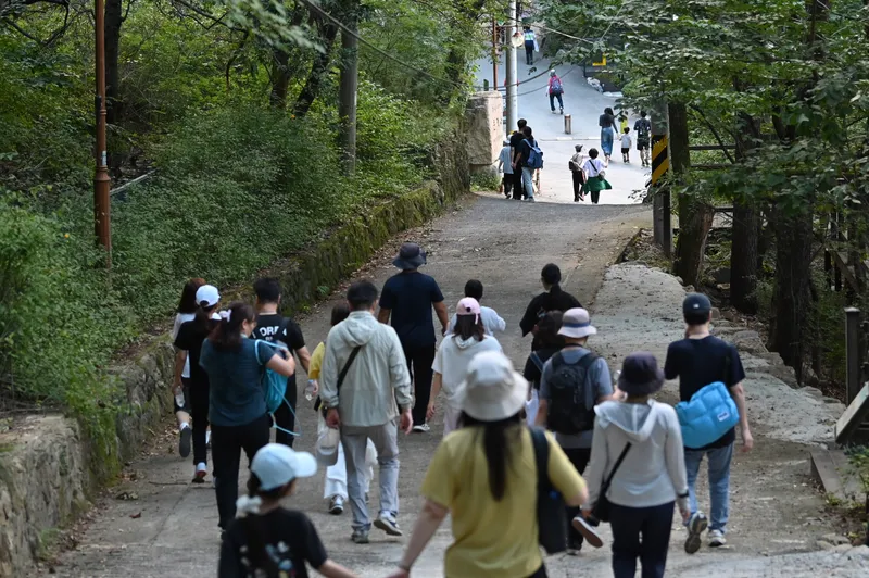 제39회 앞산자락길 걷기대회 및 앞산 숲길 건강 콘서트 개최