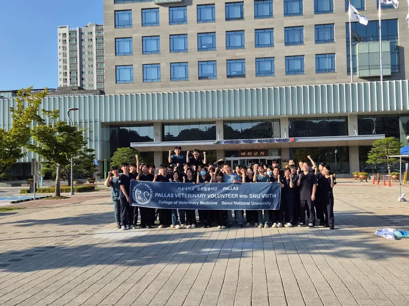 예산군, 서울대·충북대 수의대와 길고양이 중성화 봉사