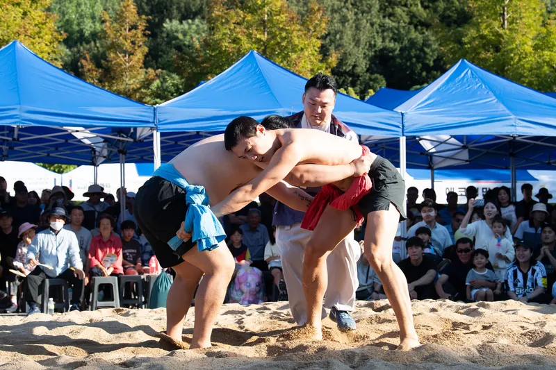 "모래판 위에서 피어난 웃음꽃"…제4회 고아읍민 씨름대회 성료