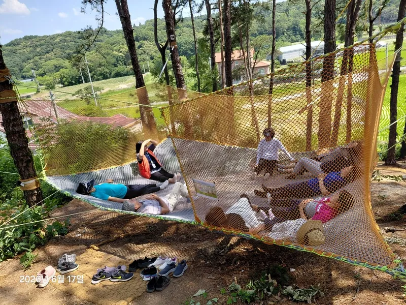“92세도 밧줄 잡고 나무 올랐다”…숲에서 되찾은 ‘푸르른 청춘’