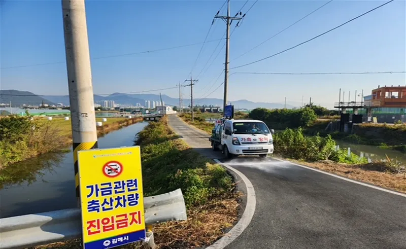 김해시, 겨울철 조류인플루엔자(AI) 특별방역대책 추진