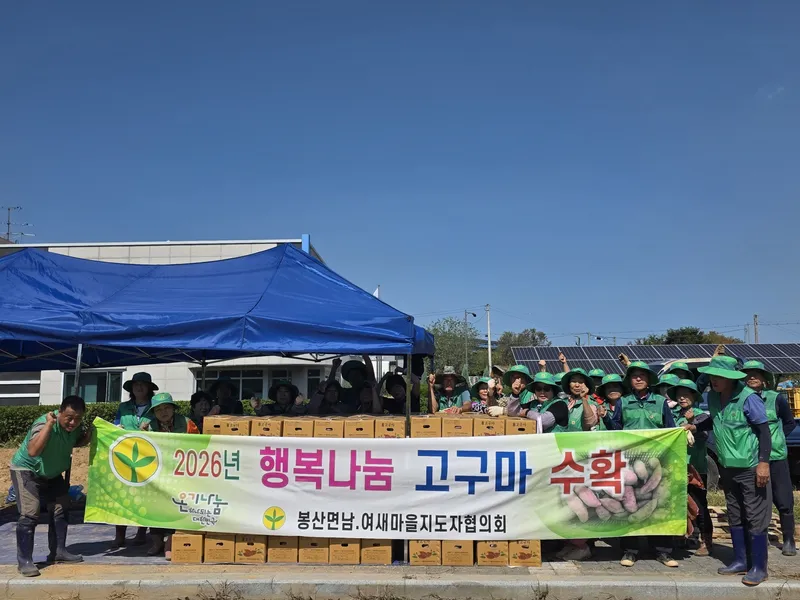 예산군 봉산면 새마을회, 고구마 수확해 이웃에게 따뜻한 나눔