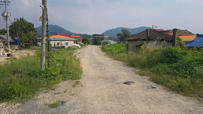 예산군, ‘신례원3리(신례원성당)도로(소2-83호) 정비공사’ 착공