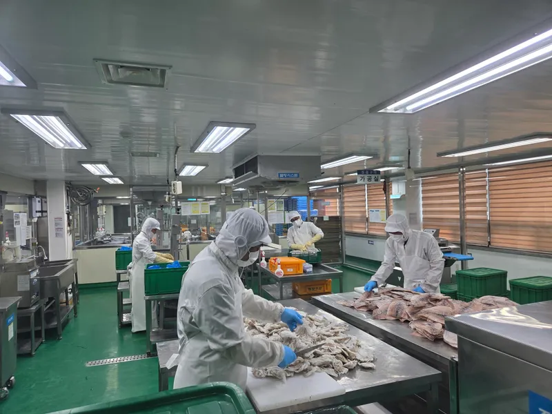 수원특례시, 학교급식 식자재 공급업체 불시 점검… 10곳 모두 ‘우수’