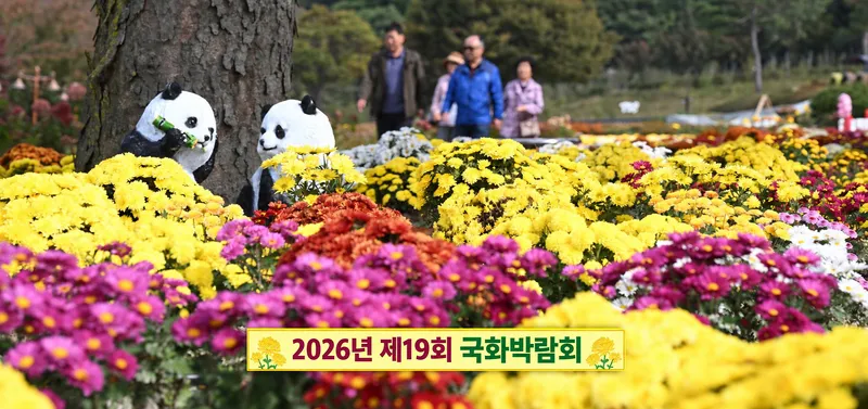 거창사건추모공원, "가을의 절정, 국화로 피어나다"