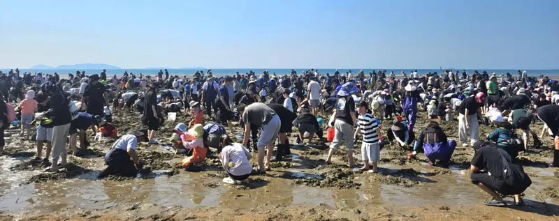 ‘모래조각에 치유를 더하니 흥행 대박’ 태안군, 몽산포에 수놓은 오감만족 힐링 물결