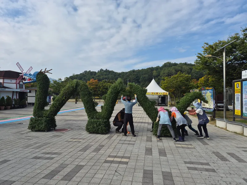 거창창포원, 백만송이 가을 국화전시회 앞두고 막바지 단장‘구슬땀’