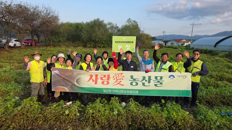 개군면 지역사회보장협의체, 사랑愛 농산물 들깨 베기 실시!