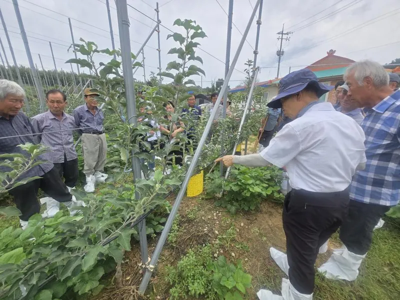 당진시, 과수분야 신기술 보급 사업 성과 공유