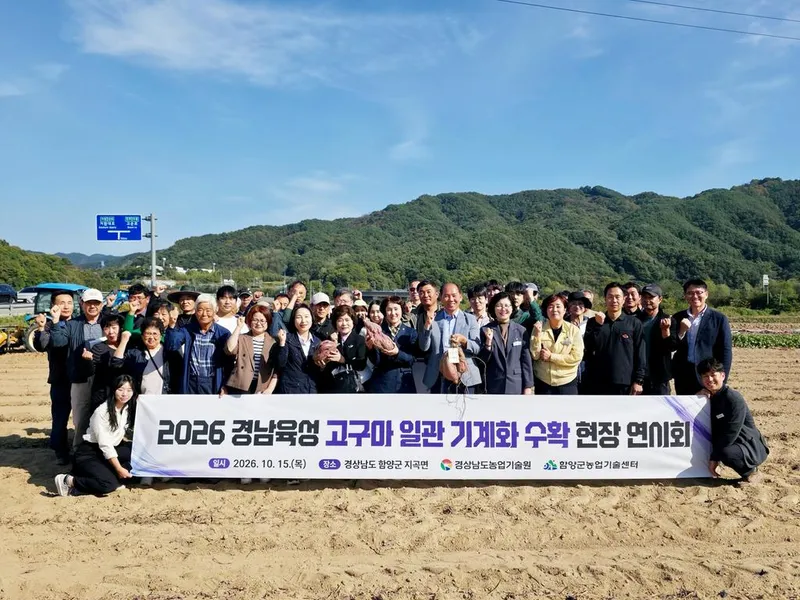함양군, ‘경남 육성 고구마 전 과정 기계화 시연회(연시회)’ 개최