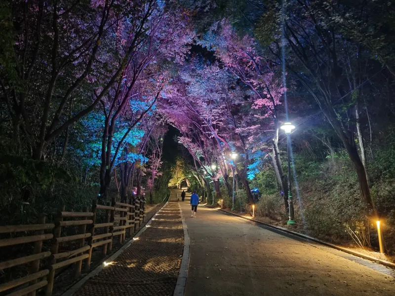 제물포구, 송현근린공원 산책로 ‘야간경관 조성사업’ 완료