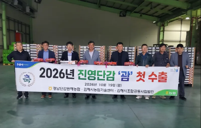 ‘진영 햇 단감’ 올해 첫 수출 선적 미국 괌 시작 수출 국가 확대