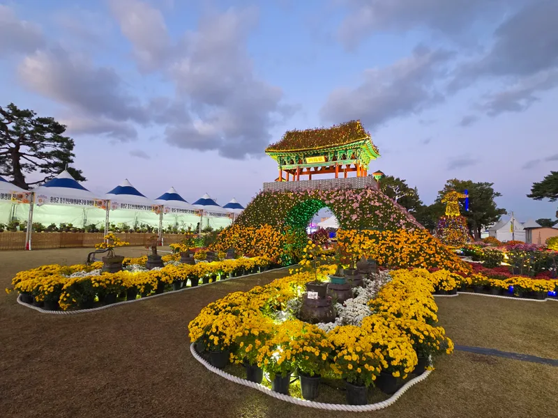 가을 향기 물씬, 제25회 홍성사랑 국화축제 개최
