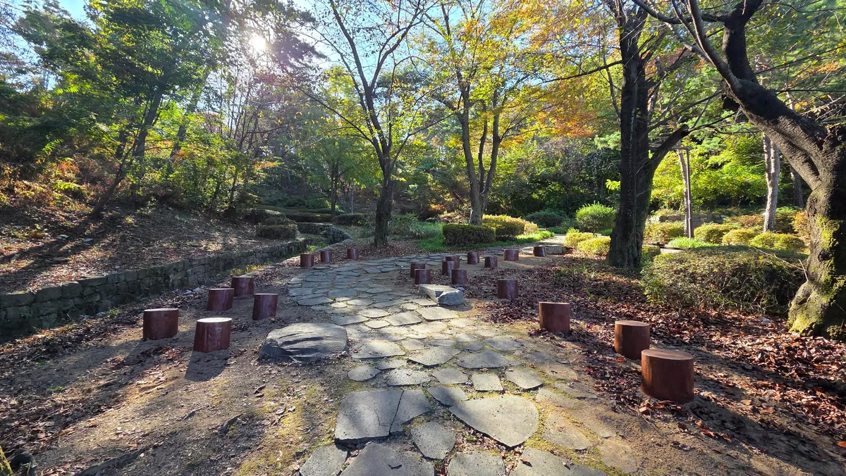 폭설에 쓰러진 나무의 재탄생... 수원특례시, 팔달산에 ‘다시숲쉼터’ 조성