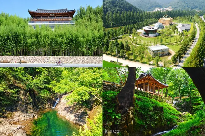 담양군, 추석 당일 죽녹원·소쇄원 등 주요 관광지 무료 개방