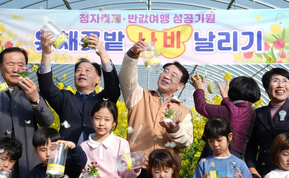 116만 명 몰려든 ‘강진청자축제’, 남도 봄 축제 대명사로 확고