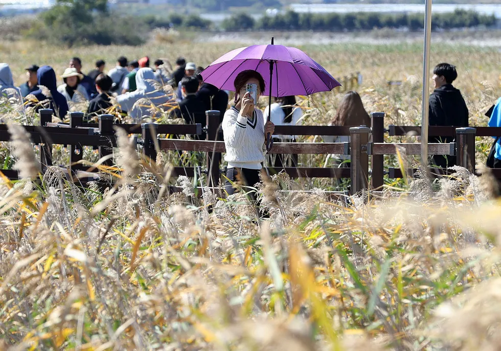 강진 반값여행 사전신청 2주만에 조기마감…1,604팀 쇄도