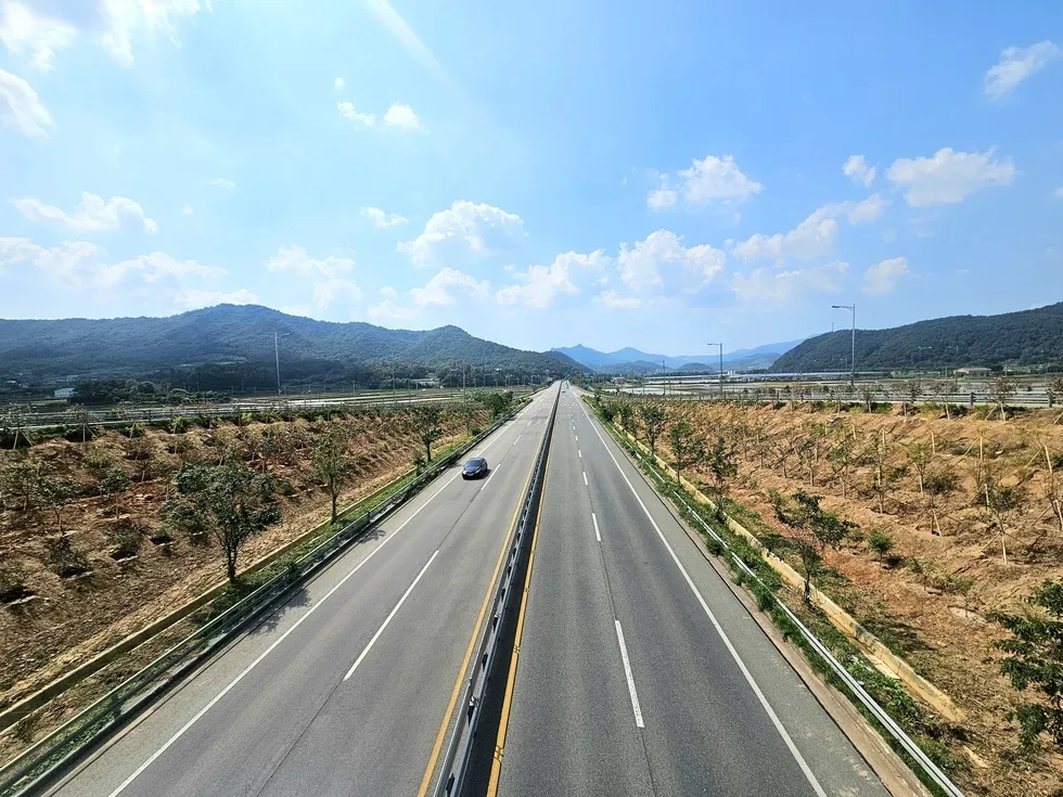 강진 관문 교차로 초록빛 변신, 미세먼지 걱정 끝!