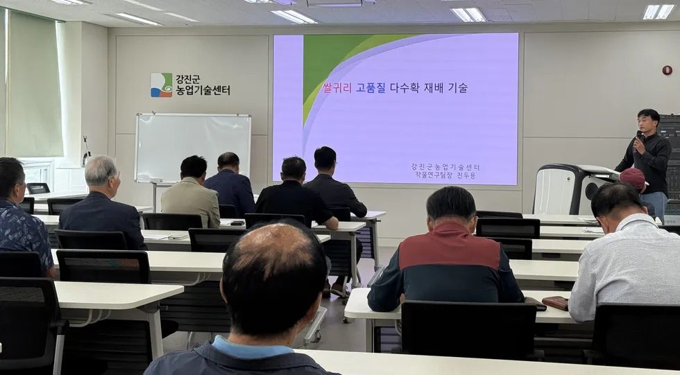 강진군, 기후변화 반영 맥류 파종 적기 10월 25일~11월 15일 안내