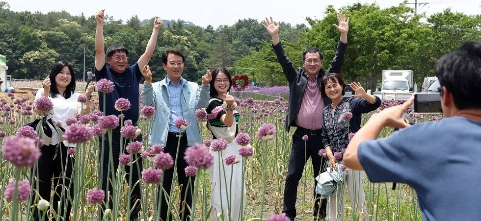 보랏빛 꽃물결 속 추억…‘강진 코끼리마늘꽃 축제’ 성황리 마감