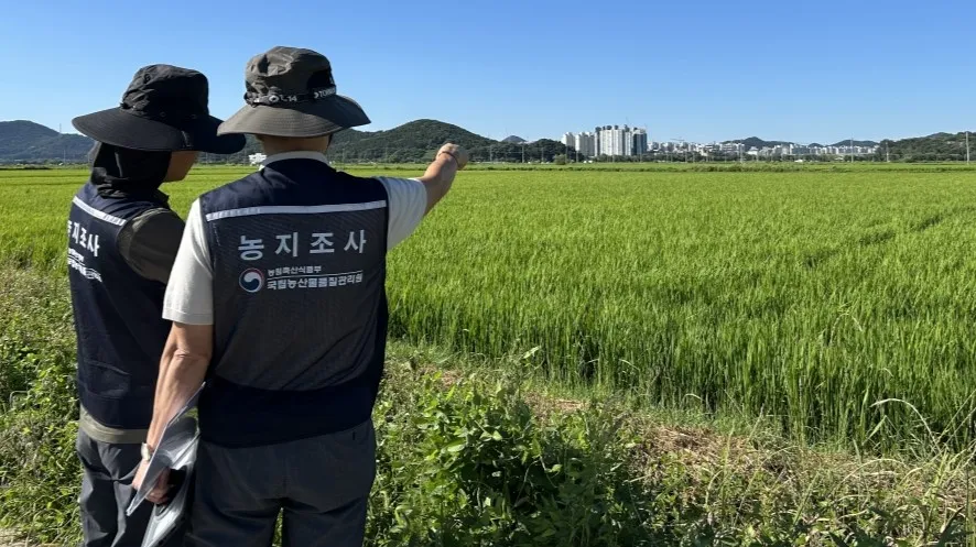 강진 농관원, 농지 1천600여 필지 심층조사...불법 이용 집중 단속 - 경제 | 코리아NEWS