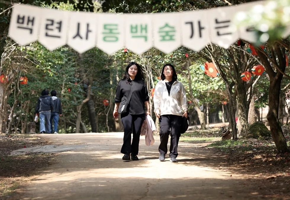 천년고찰 동백숲 힐링, 제3회 강진 백련사 동백축제 성황리 마감