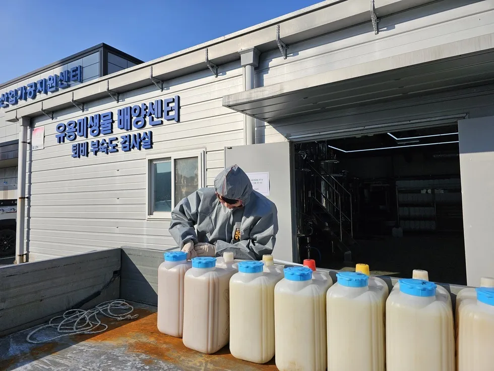 강진군, 유용미생물 무상공급에 농가 ‘호읙’… 연간 200톤 지원 - 환경 | 시민의 눈
