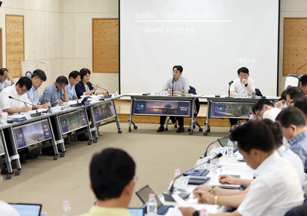 국무회의처럼 ‘효능감’…강진군, 브레인스토밍 신설했다 - 행정 | 시민의 눈