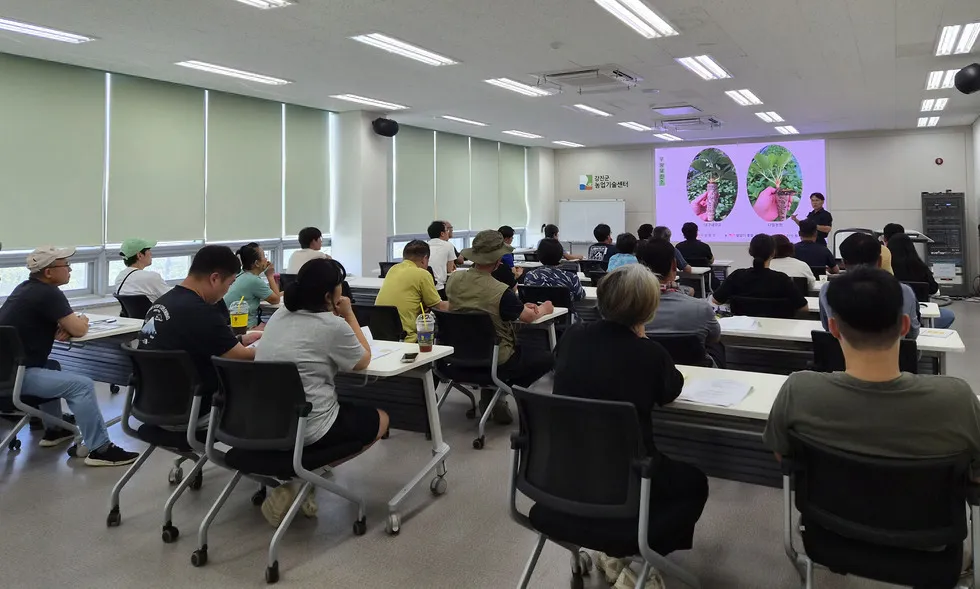 강진 딸기 경쟁력 강화…우량묘 생산 위한 삽목 육묘 기술 교육