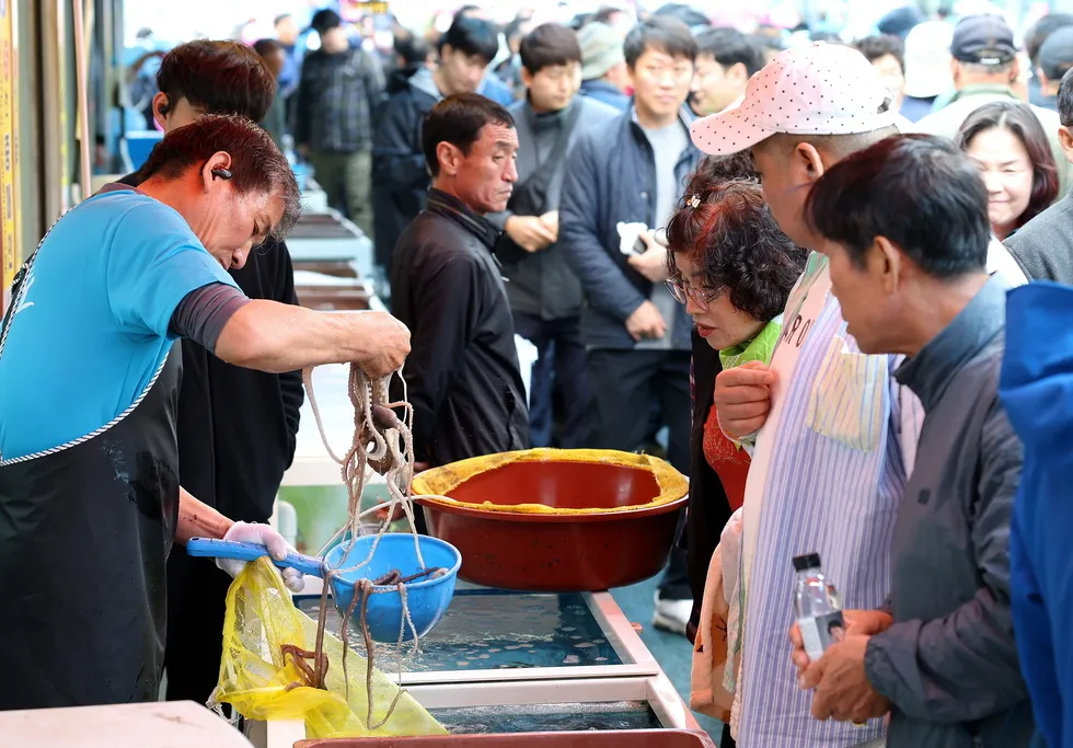 강진 마량놀토수산시장, 키즈존·컬러데이로 여름 휴가철 붐업