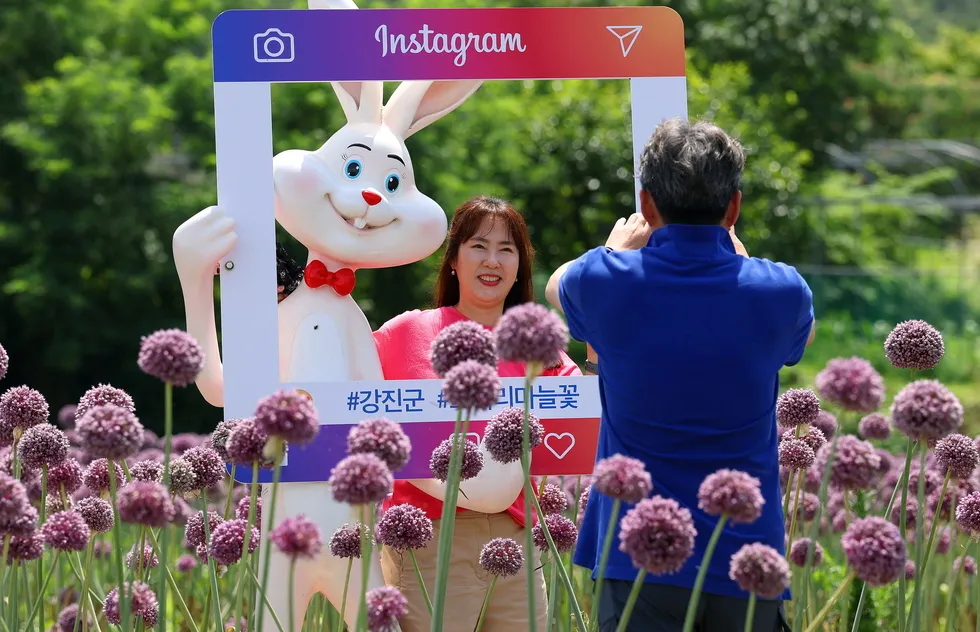초여름의 보랏빛 물결, 작천 코끼리마늘꽃 축제 12일 개막